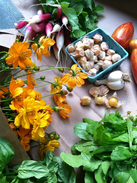 tips-for-sustainable-travel-organic