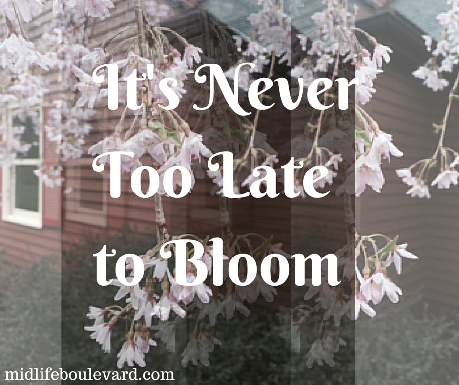 It's Never Too Late to Bloom: spring